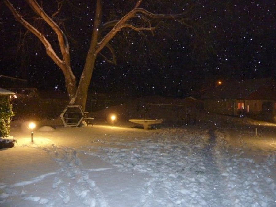 Garten im Winter